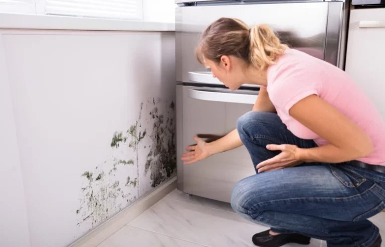 Woman finding mold growing in home.